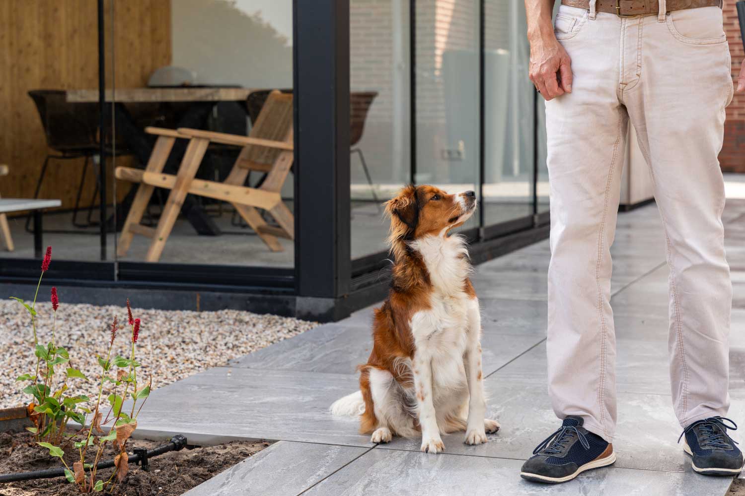 Kijkje in de achtertuin | Fam Baan